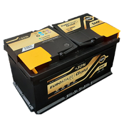 ESG/12V 100Ah (900) GOLD SMF (353x175x190) R+